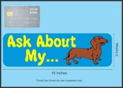10in x 3in Ask about Dachshund Dog art magnet bumper magnetic magnets