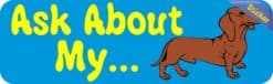 10in x 3in Ask about Dachshund Dog art Bumper Sticker Decal Window Stickers Decals