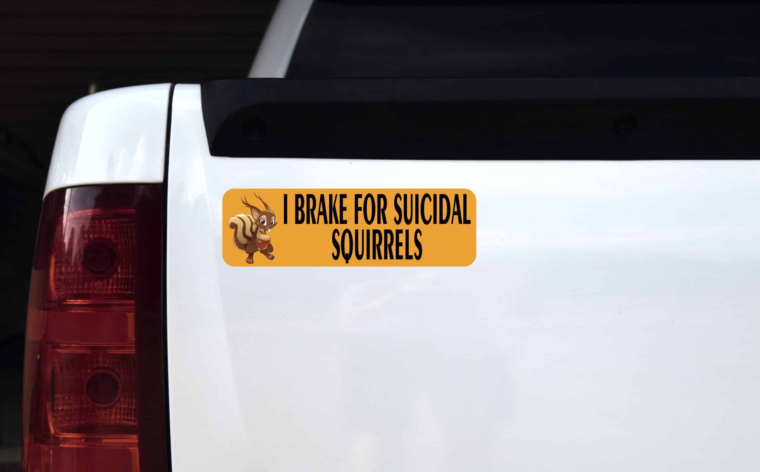 10in x 3in I Brake For Suicidal Squirrels Magnet Magnetic Vehicle Sign