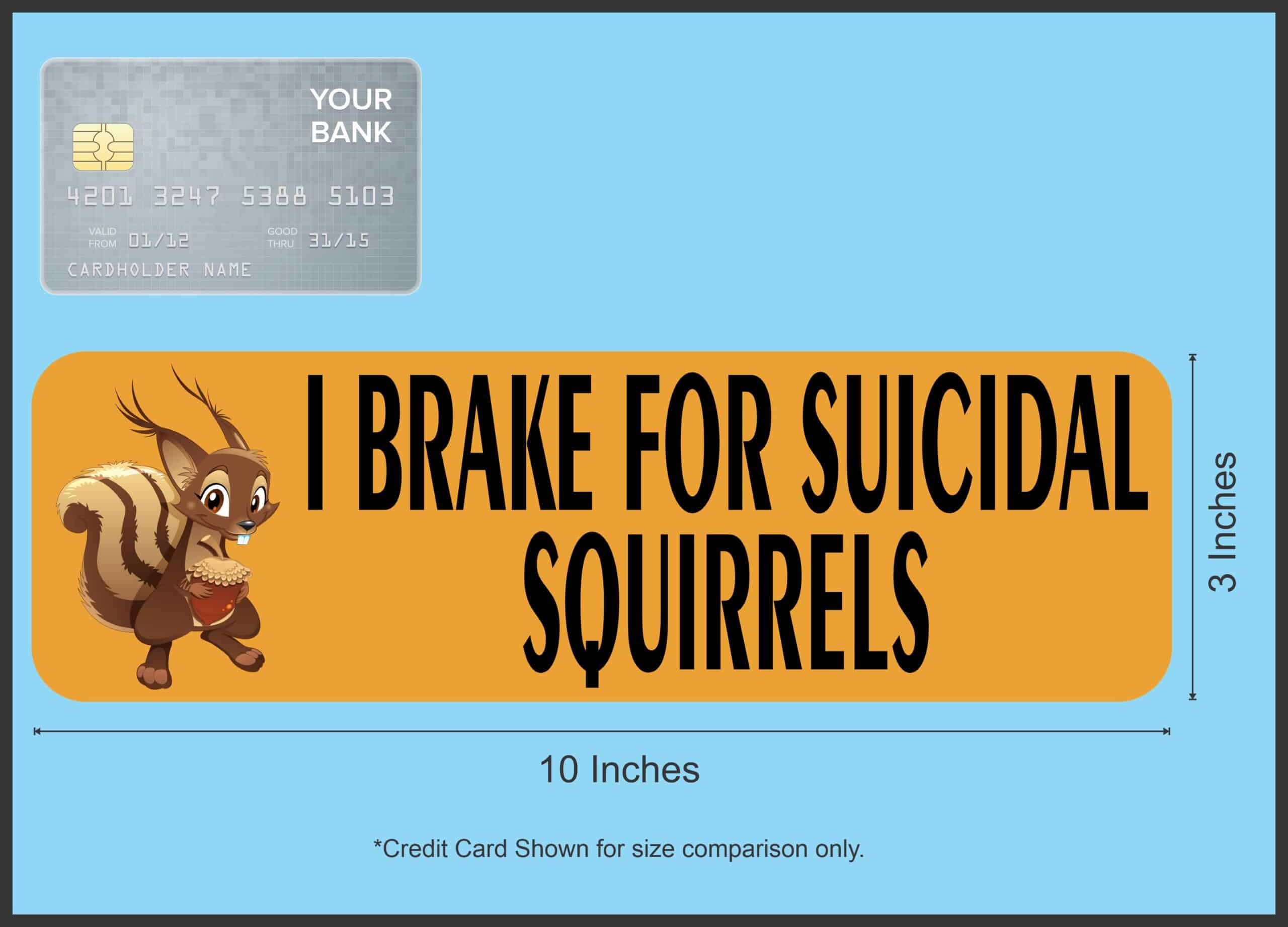 10in x 3in I Brake For Suicidal Squirrels Bumper Sticker Vinyl Window Decal