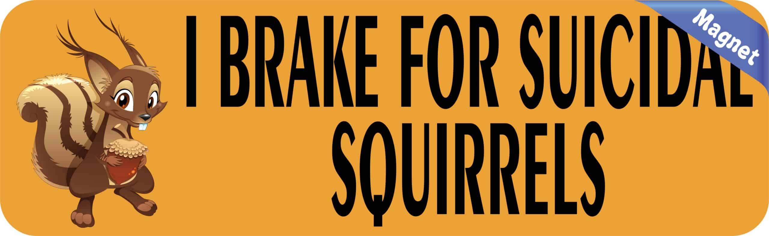 10in x 3in I Brake For Suicidal Squirrels Magnet Magnetic Vehicle Sign