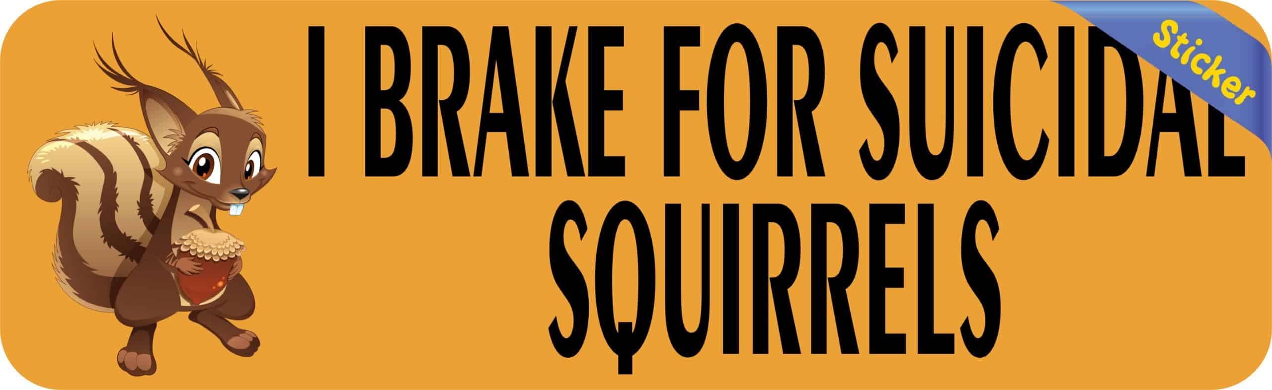 10in x 3in I Brake For Suicidal Squirrels Bumper Sticker Vinyl Window Decal