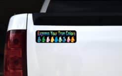 10in x 3in Express True Colors Bumper magnet Penguin magnetic m
