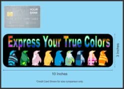 10in x 3in Express True Colors Bumper Sticker Penguin Decal Wind