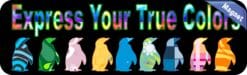 10in x 3in Express True Colors Bumper magnet Penguin magnetic m