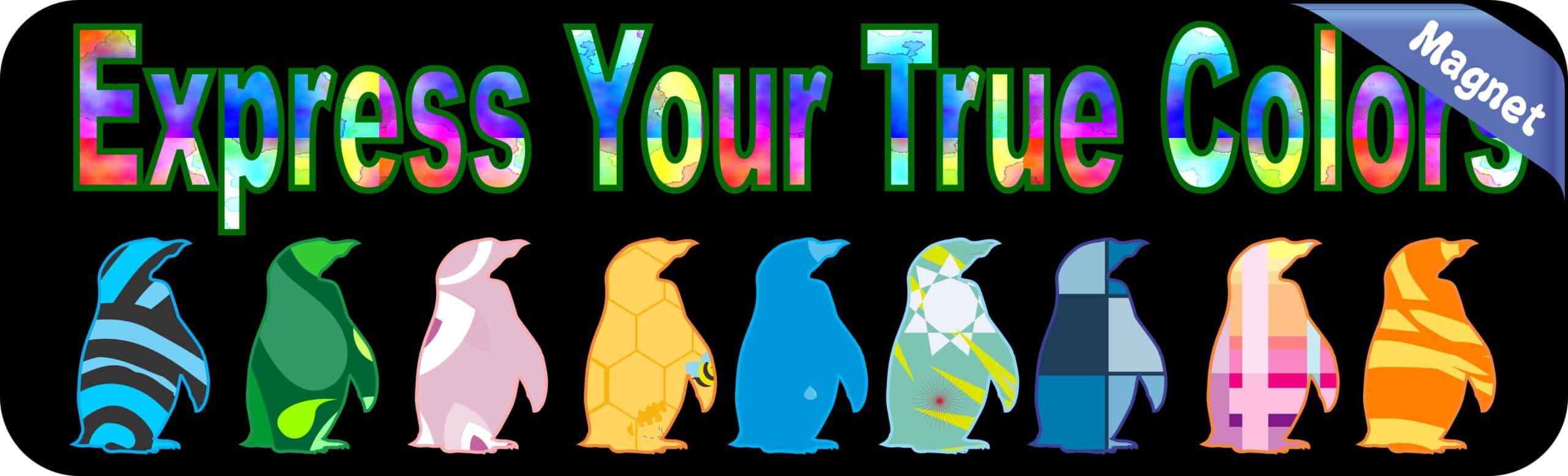 10in x 3in Express True Colors Bumper magnet Penguin magnetic m