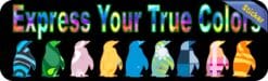10in x 3in Express True Colors Bumper Sticker Penguin Decal Wind