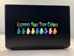10in x 3in Express True Colors Bumper Sticker Penguin Decal Wind