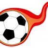 soccer bumper sticker