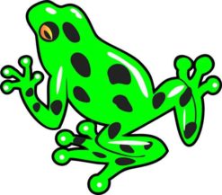 Green Frog Sticker