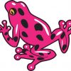 frog bumper sticker