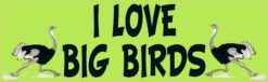 10in x 3in I Love Big Birds Bumper Magnet Car Magnetic Vehicle Sign