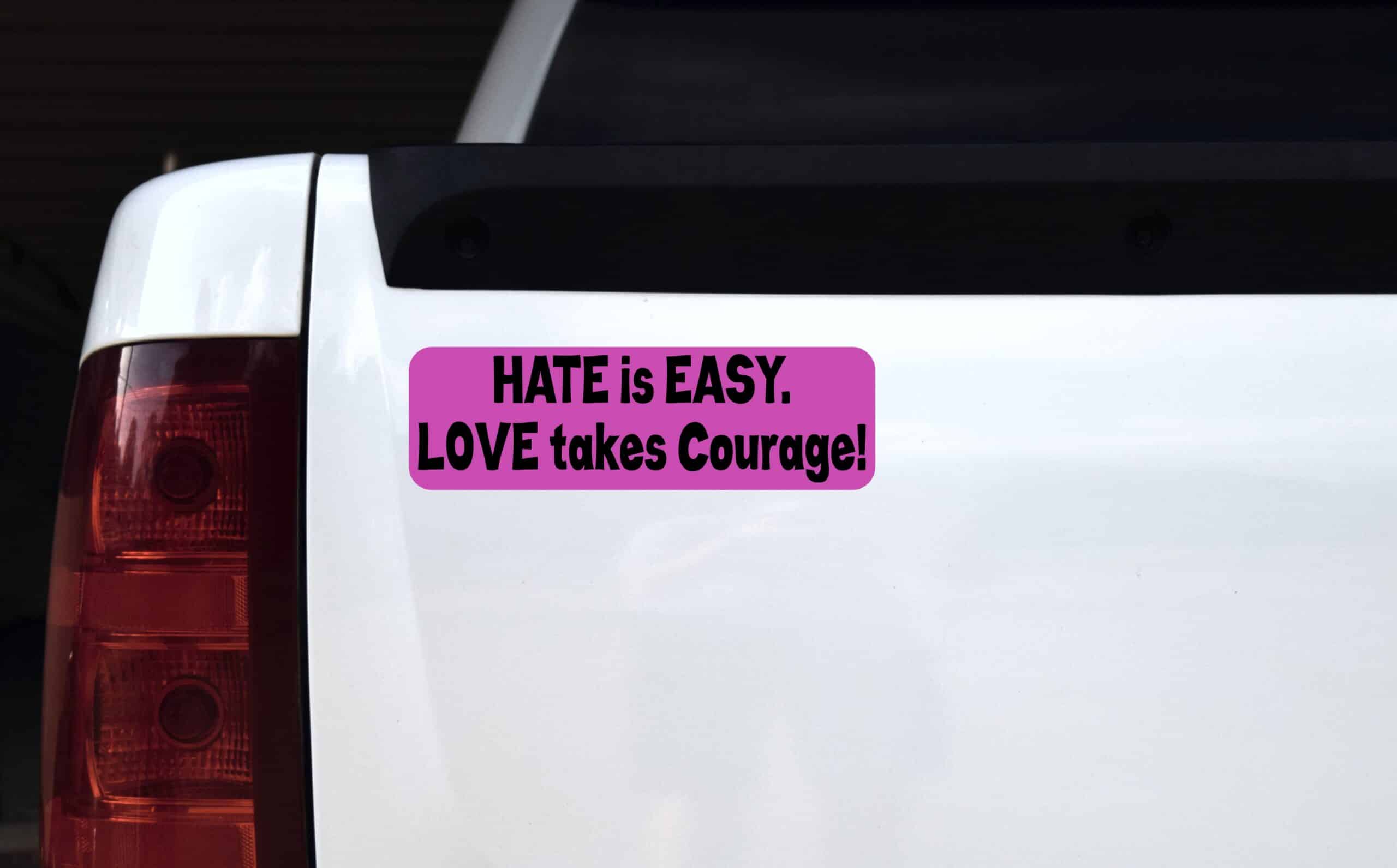 10in x 3in Love Takes Courage Bumper Sticker Window Stickers Vin