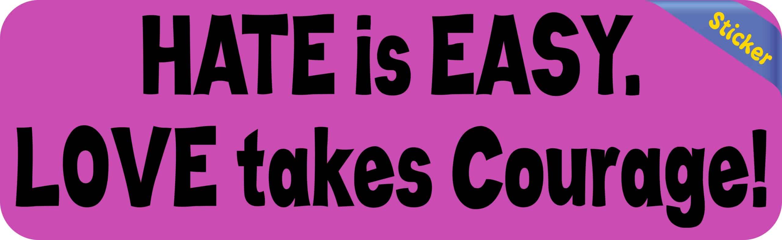 10in x 3in Love Takes Courage Bumper Sticker Window Stickers Vin