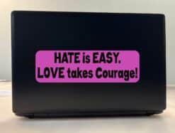 10in x 3in Love Takes Courage Bumper Sticker Window Stickers Vin