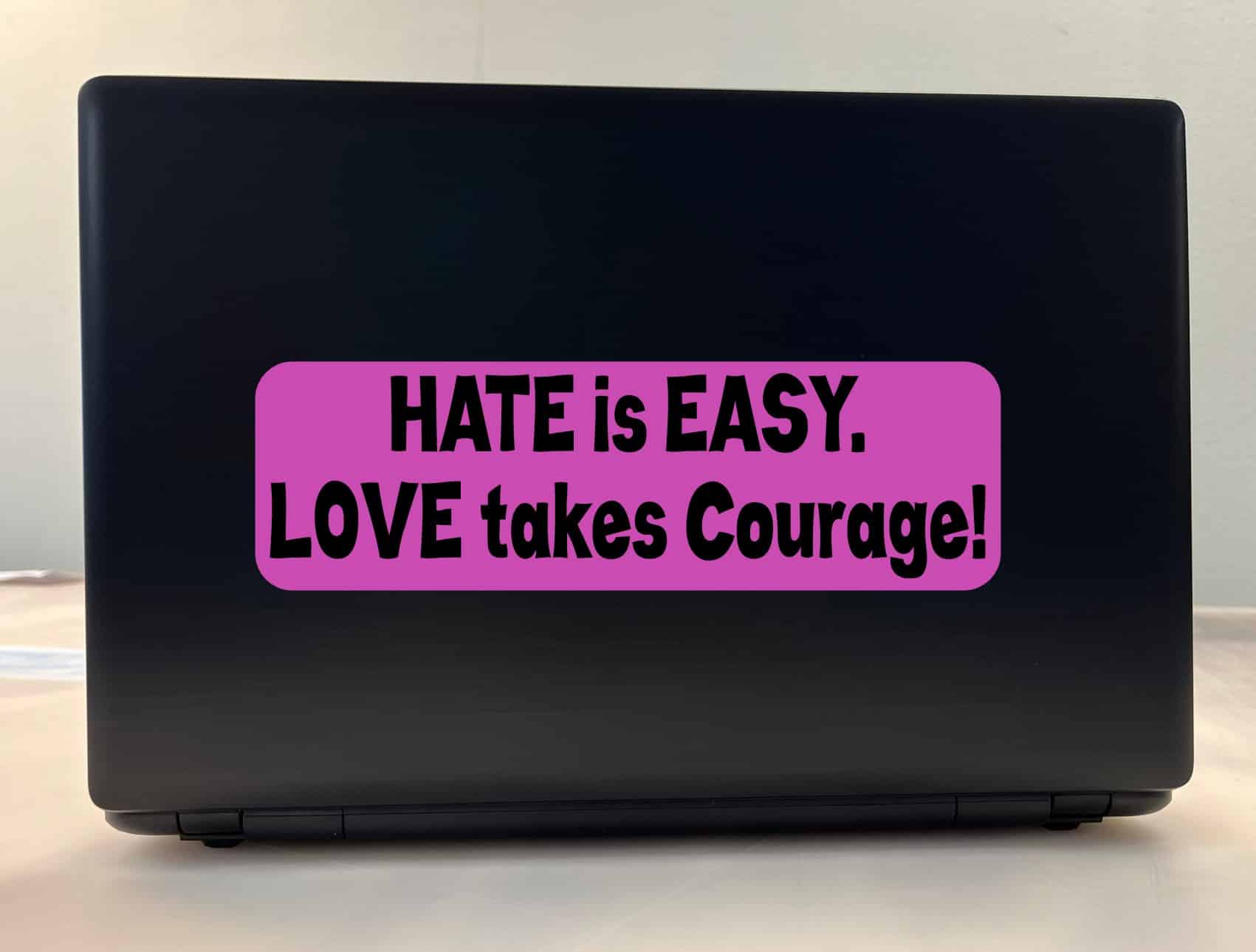10in x 3in Love Takes Courage Bumper Sticker Window Stickers Vin