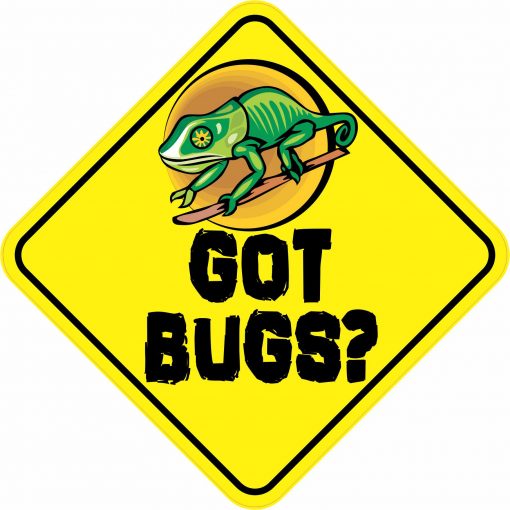 Got Bugs?
