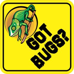 6in x 6in Got Bugs Bumper Sticker Stickers Vinyl Window Decal Decals
