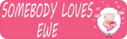 10in x 3in Somebody Loves Ewe Magnet