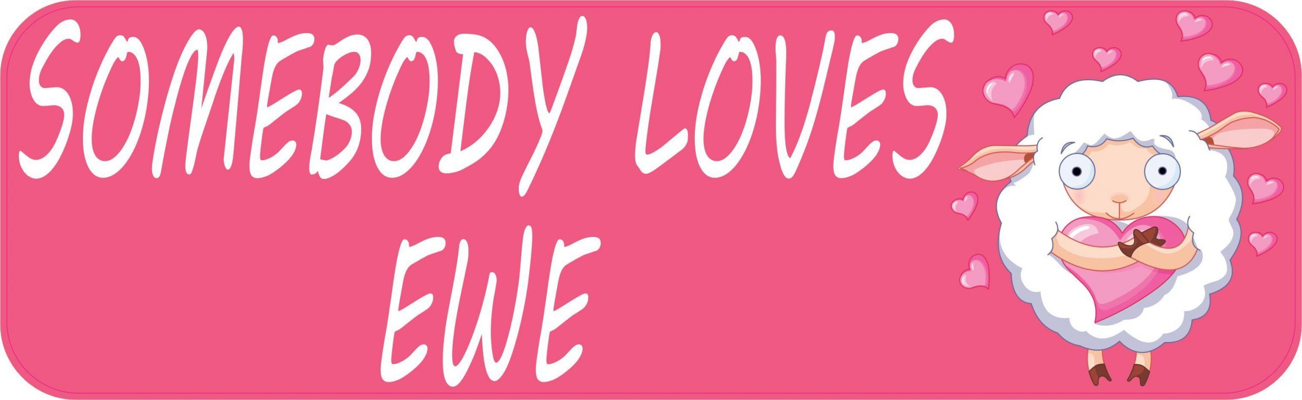 10in x 3in Somebody Loves Ewe Magnet