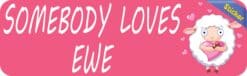 10in x 3in Somebody Loves Ewe Bumper Sticker