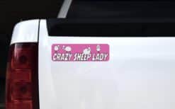 10in x 3in Crazy Sheep Lady Vinyl Bumper Magnet Ewe  Window Lamb Magnets
