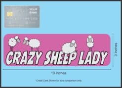 10in x 3in Crazy Sheep Lady Vinyl Bumper Magnet Ewe  Window Lamb Magnets