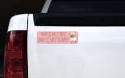 10in x 3in Ewe Is Just Fluffy Bumper Sticker