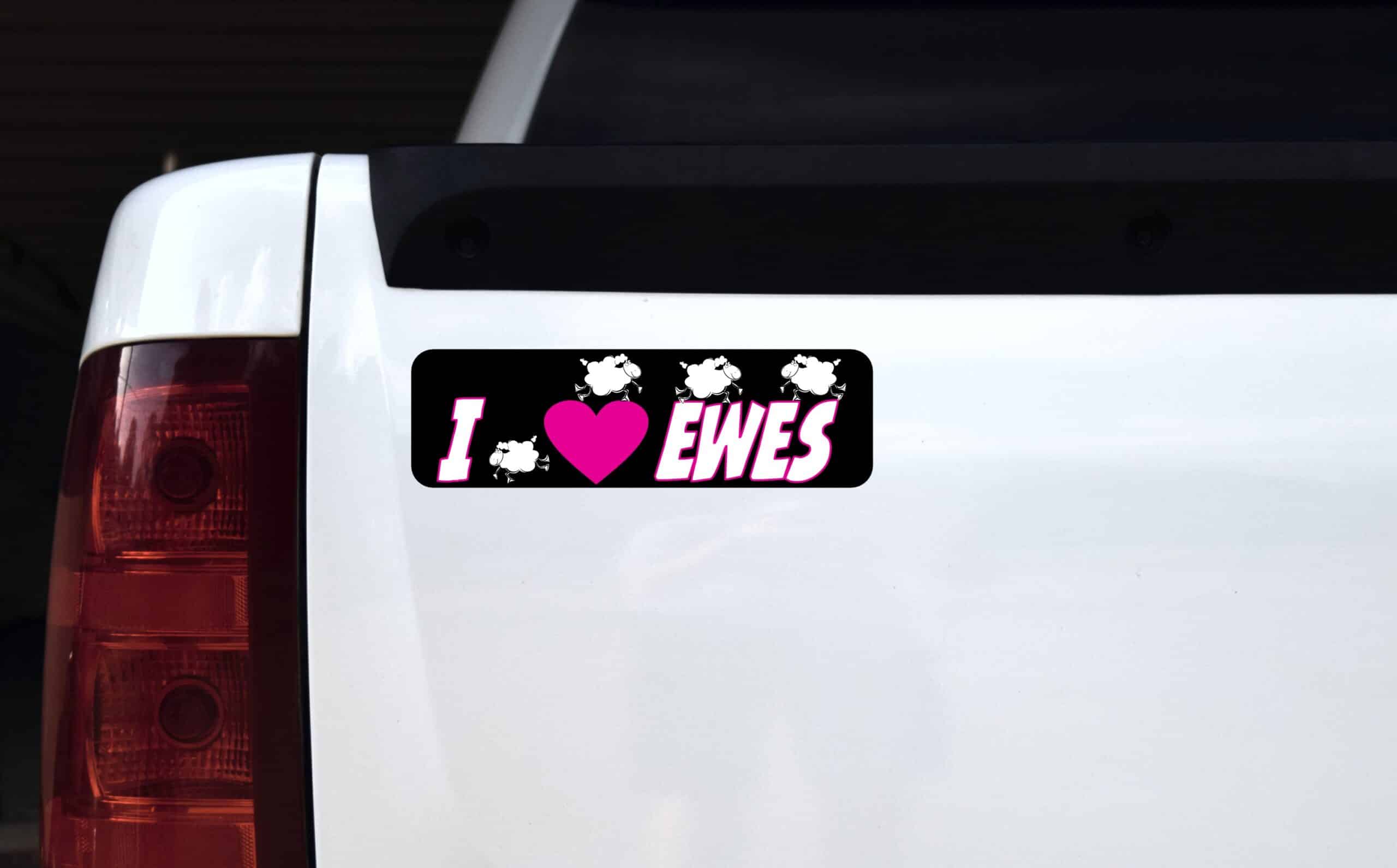 10in x 3in I Love Ewes Vinyl Bumper Magnet Sheep Window Lamb Magnets