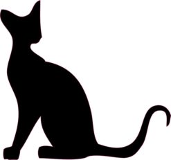 Black Cat Car Decals