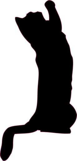 Black Standing Cat Car Decal