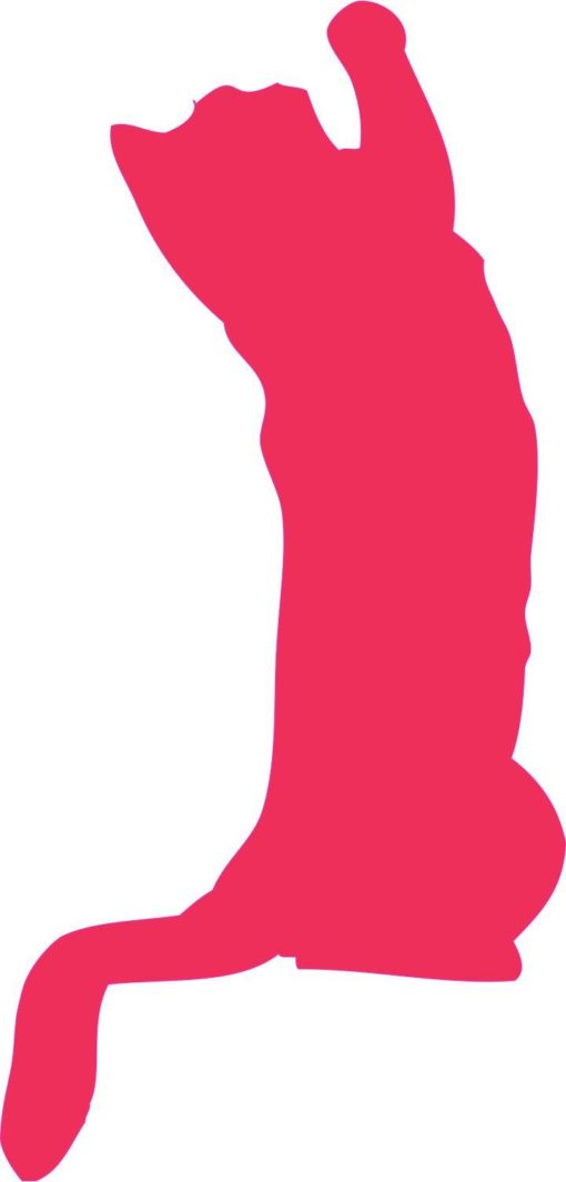 Pink Standing Cat Car Decal