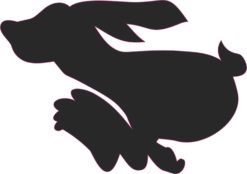 rabbit car decals