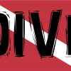 diver down car