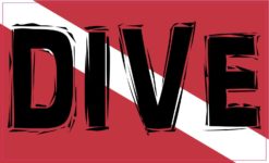 diver down car