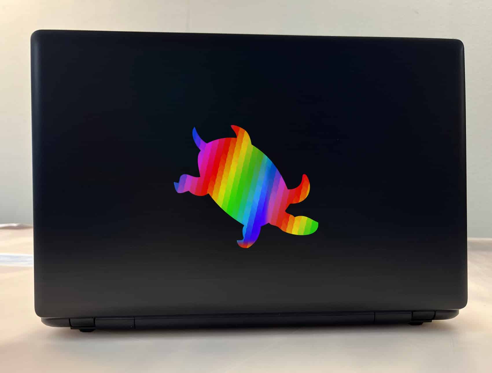 5in x 4.25in Rainbow Sea Turtle Stickers Tortoise Sticker -