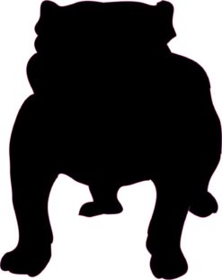 Pug Stickers
