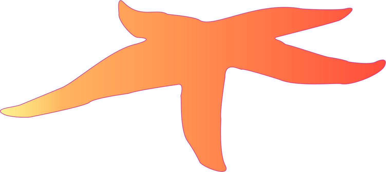 Orange Starfish Stickers