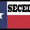 Texas Flag Secede White