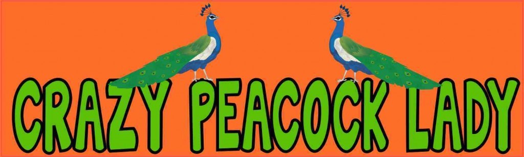 Crazy Peacock Lady