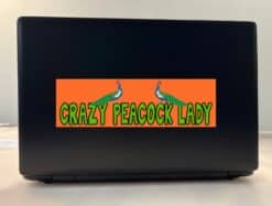 10in x 3in Crazy Peacock Lady Bumper Sticker Car Decal -