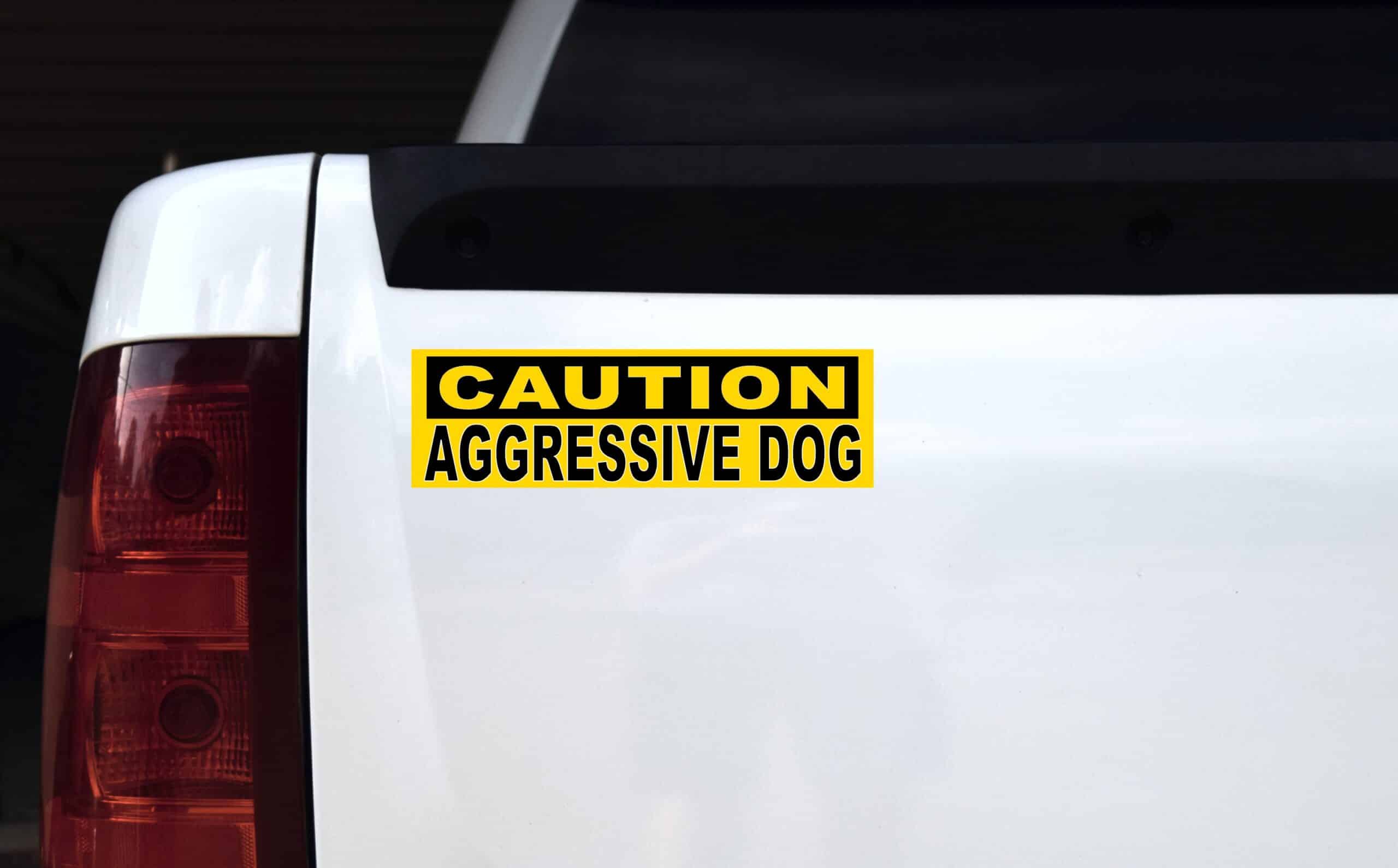 10in x 3in Caution Aggressive Dog Bumper Magnet