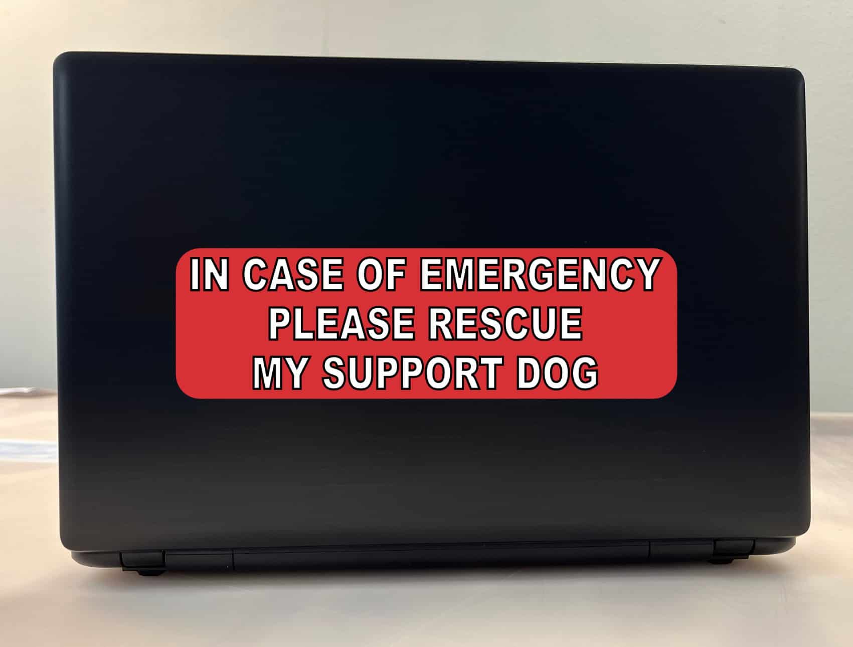 10in x 3in Please Rescue Support Dog Vinyl Bumper Sticker Car Window Decal - Image 3