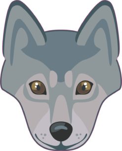 Gray Wolf Sticker
