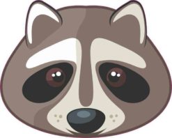 raccoon car decal