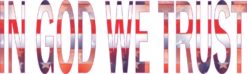 In God We Trust Sticker