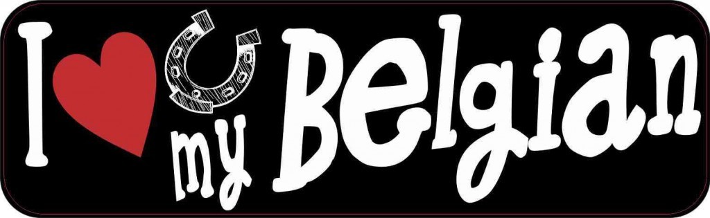 I Love My Belgian Bumper Sticker