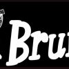 brumby