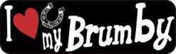 brumby