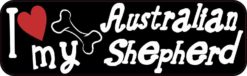 australian shepherd